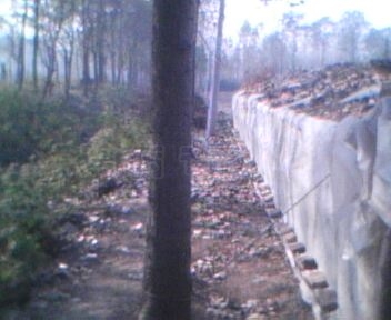 IMG0054A.jpg