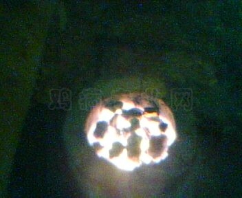 IMG0051A.jpg