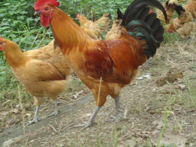 DSC01324.JPG