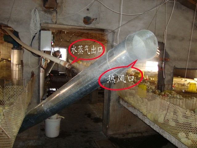 սСƬ 008_conew1.jpg