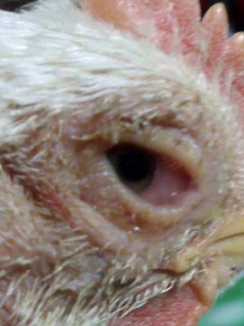 02-01-05_1246.jpg