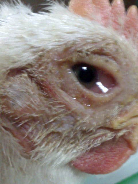 02-01-05_1245.jpg