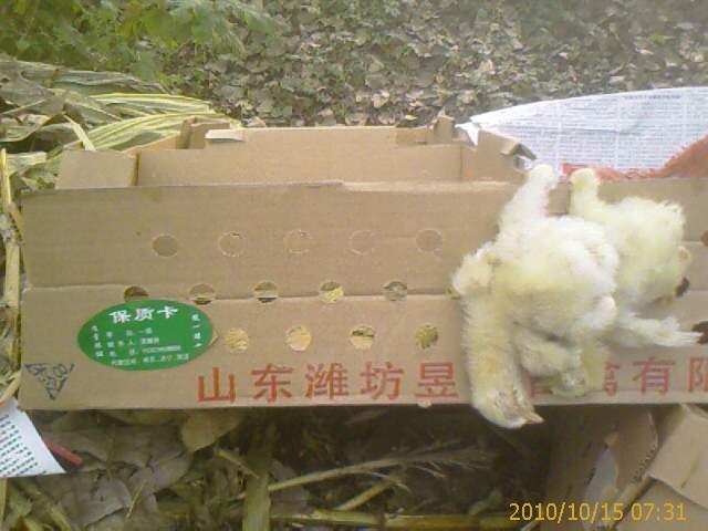 Ϋź1磡ָܾˣ