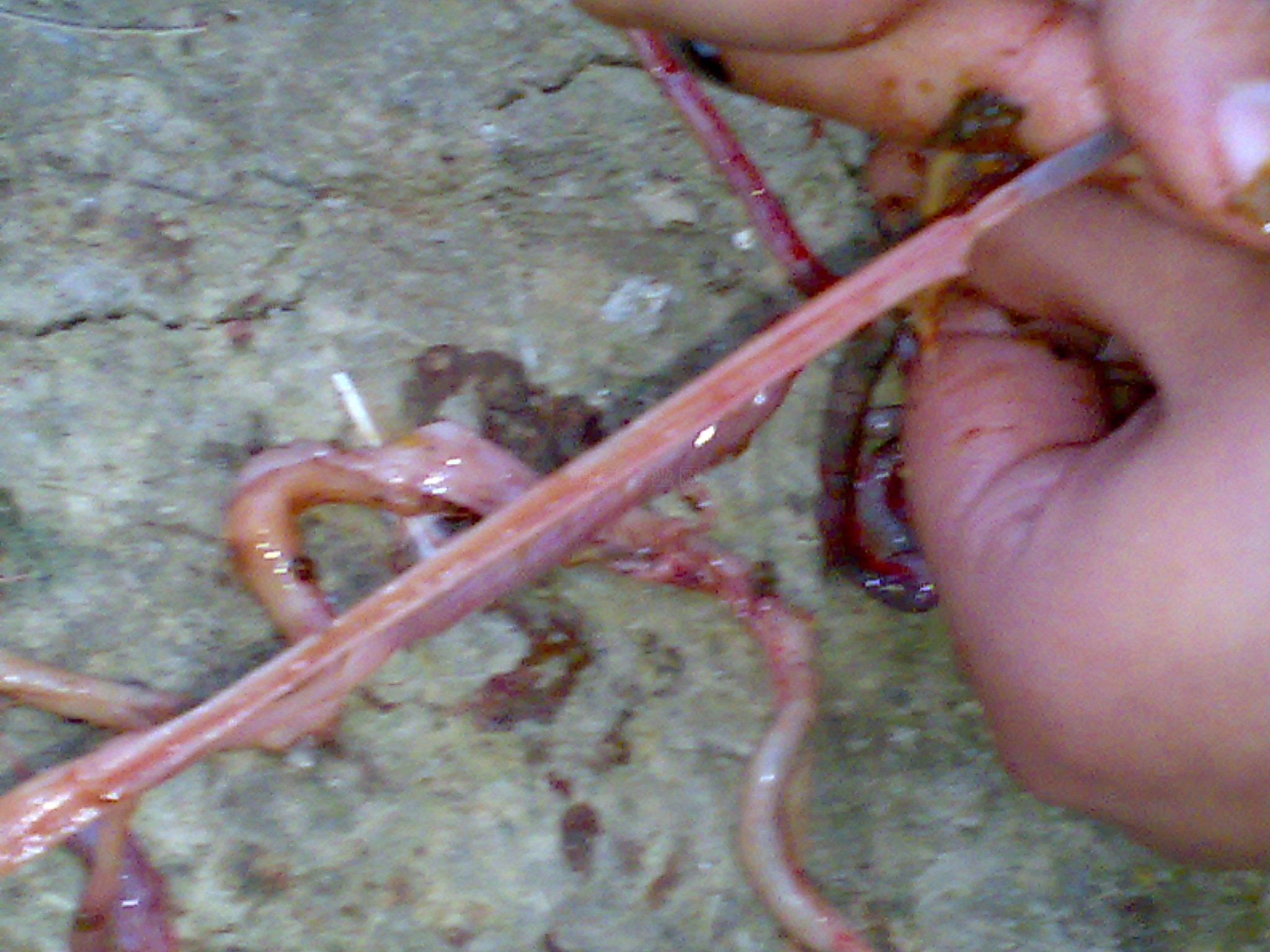 20101020056.jpg