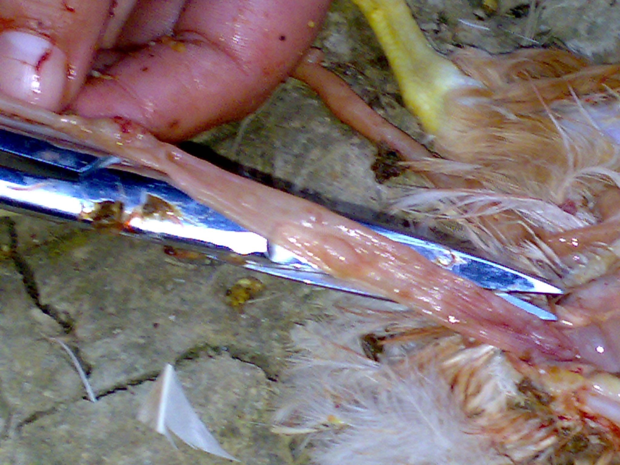 20101020052.jpg