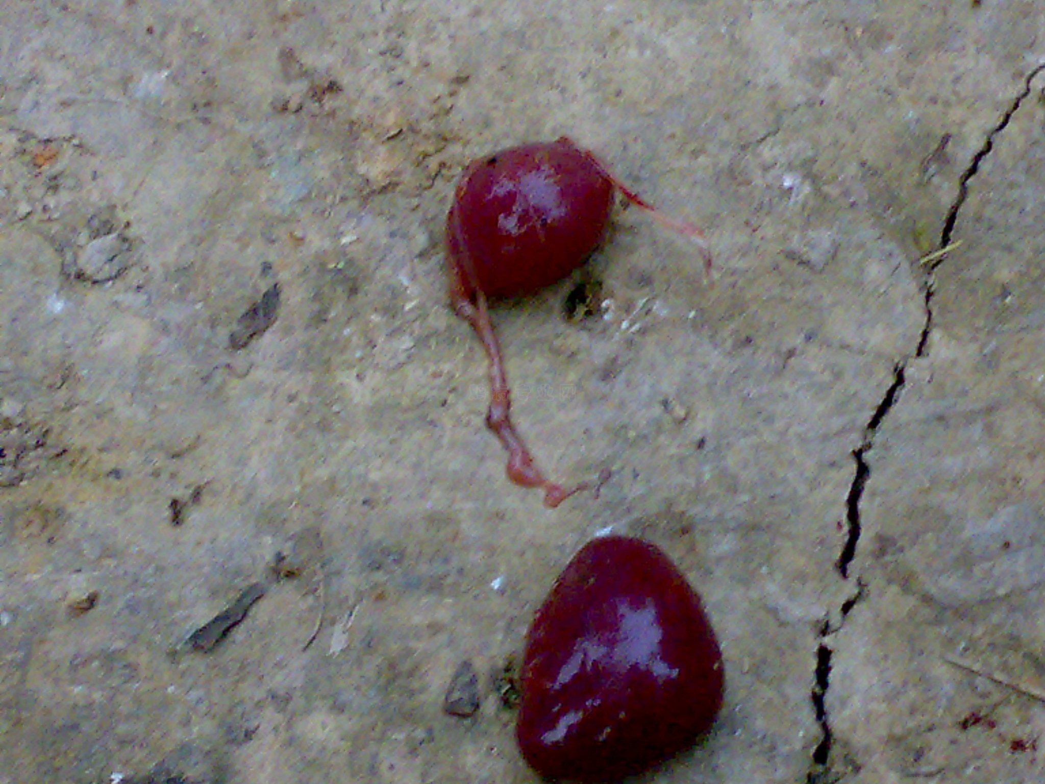 20101020054.jpg