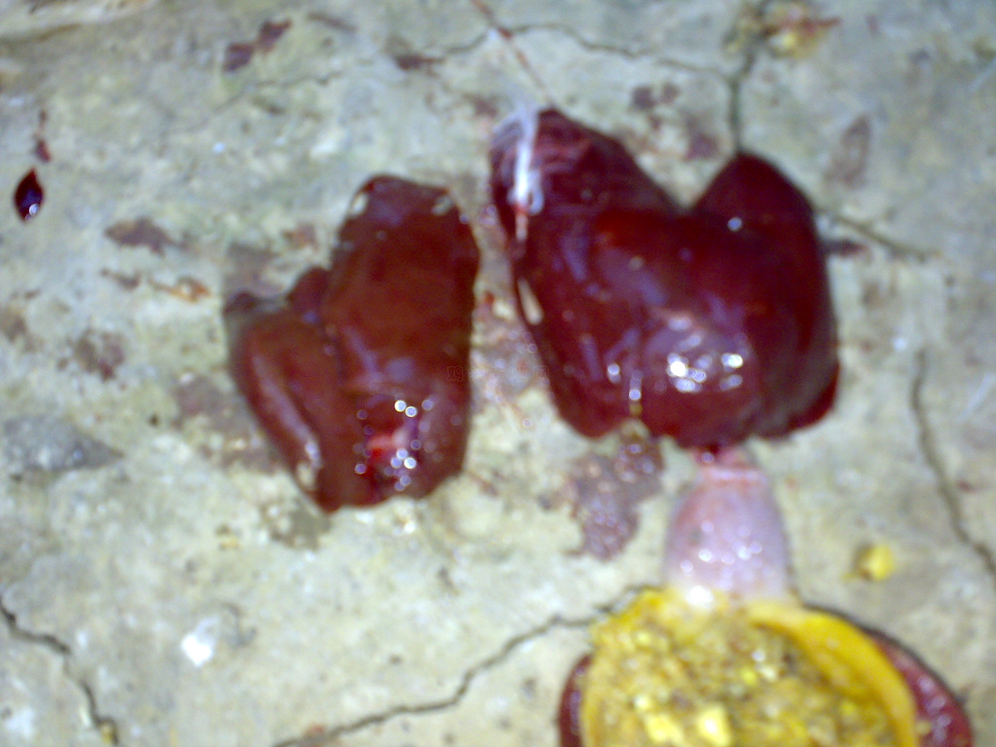 20101020049.jpg