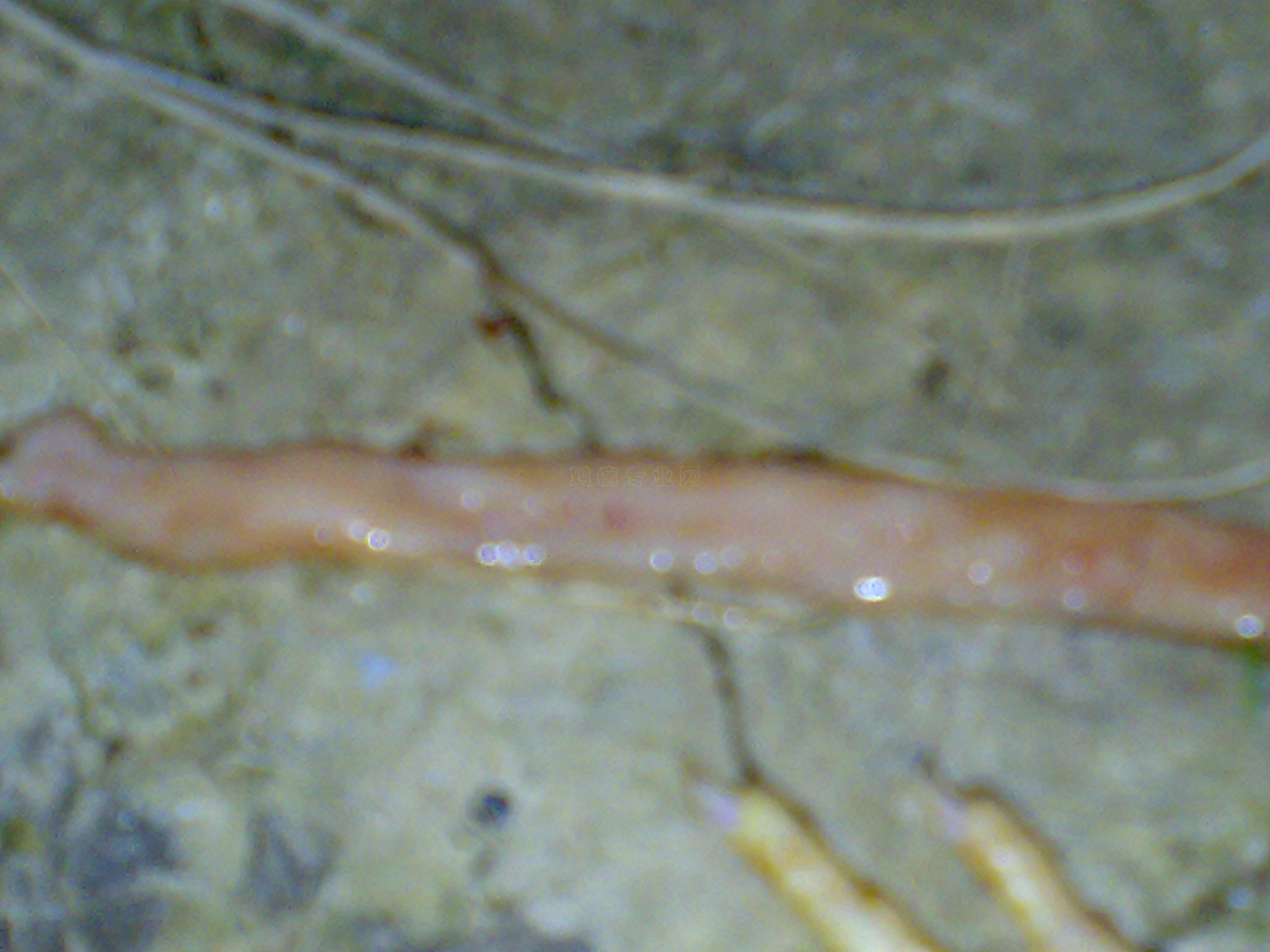20101020053.jpg