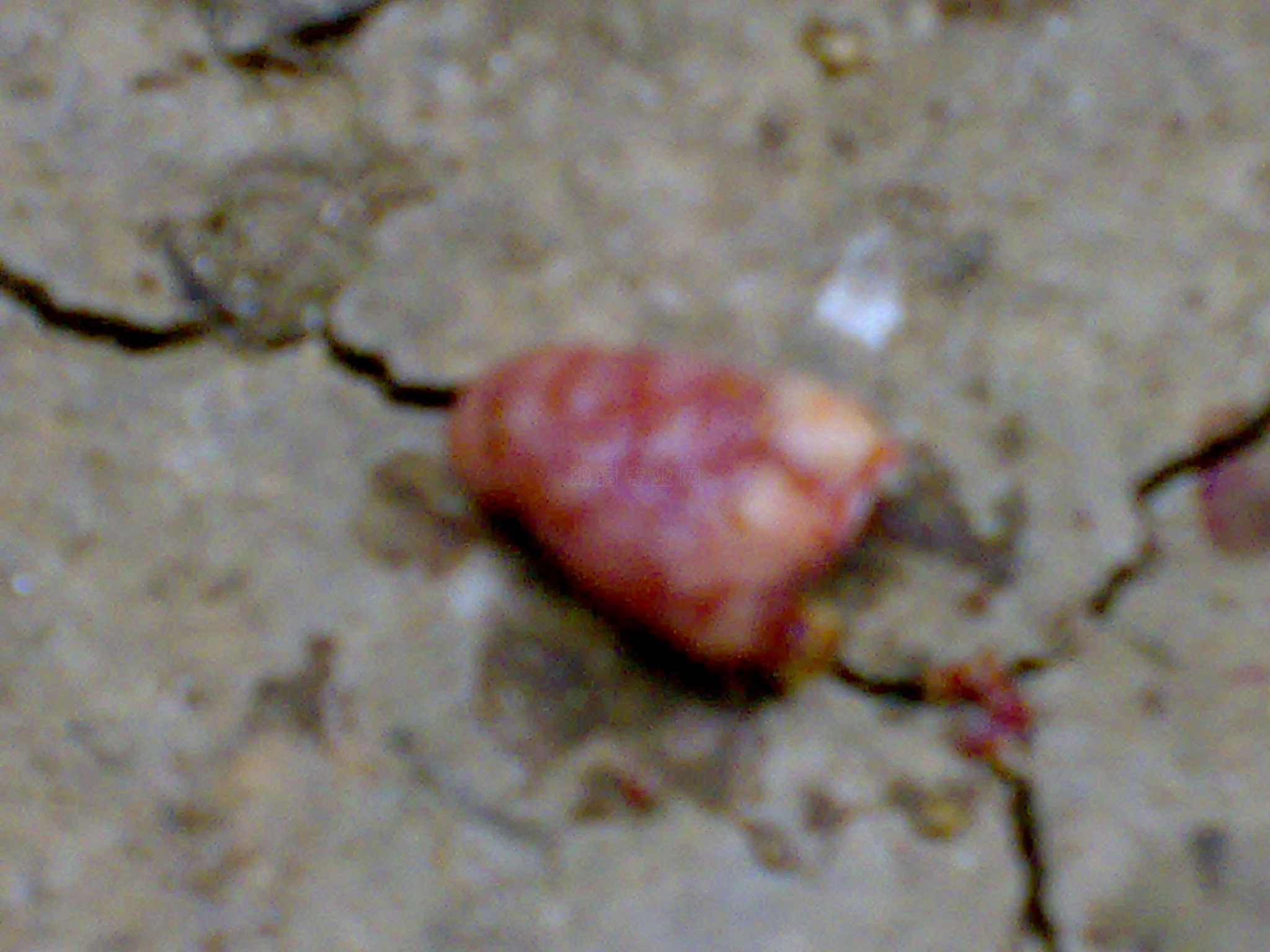 20101020050.jpg