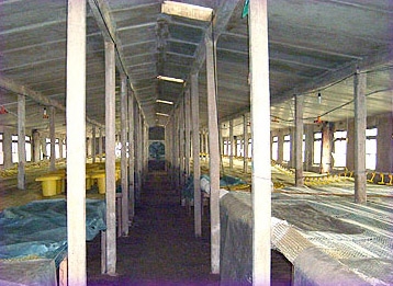 200958162949942.jpg