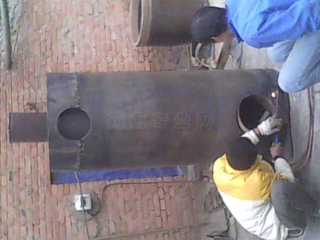 IMG0508A.jpg