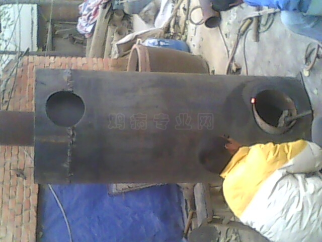 IMG0509A.jpg