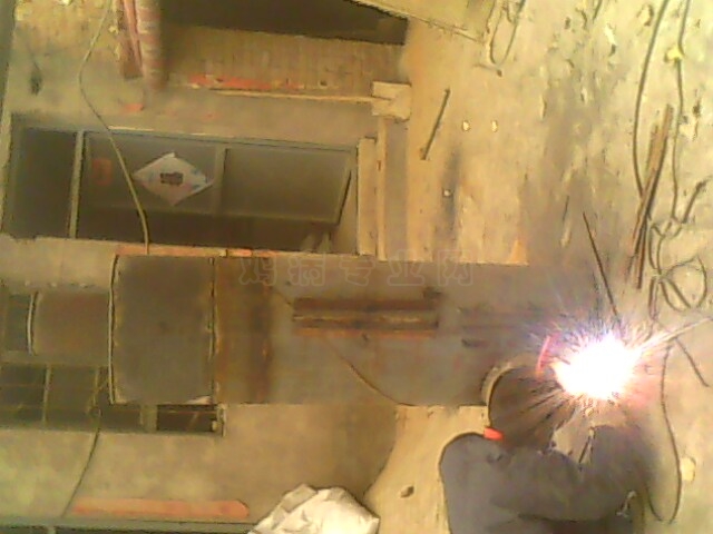 IMG0498A.jpg