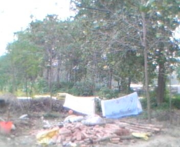 IMG0031A.jpg