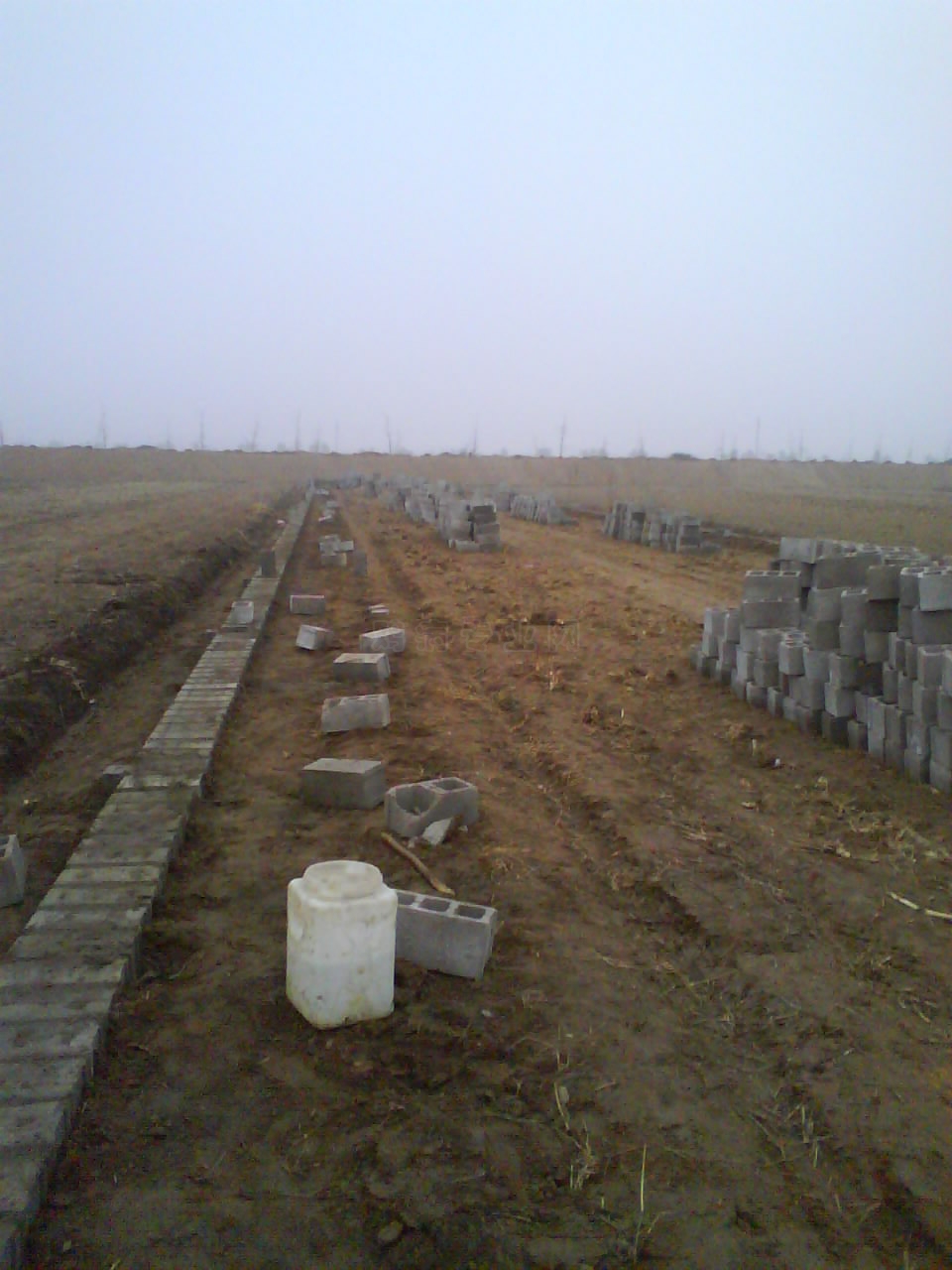 DSC00050.JPG