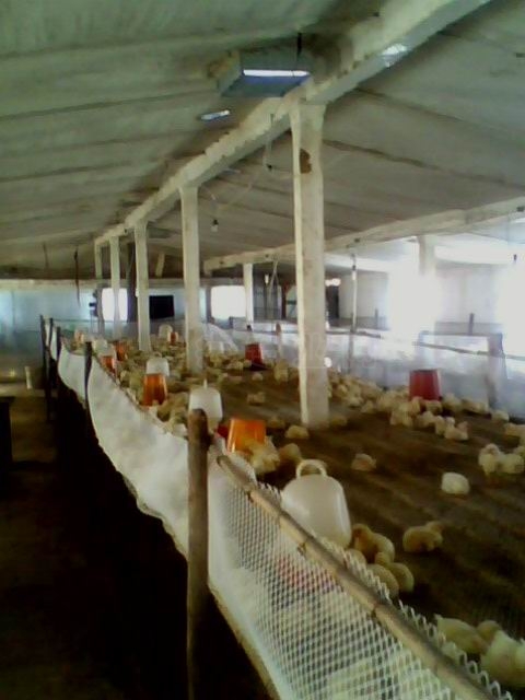 ת IMG0078A.jpg