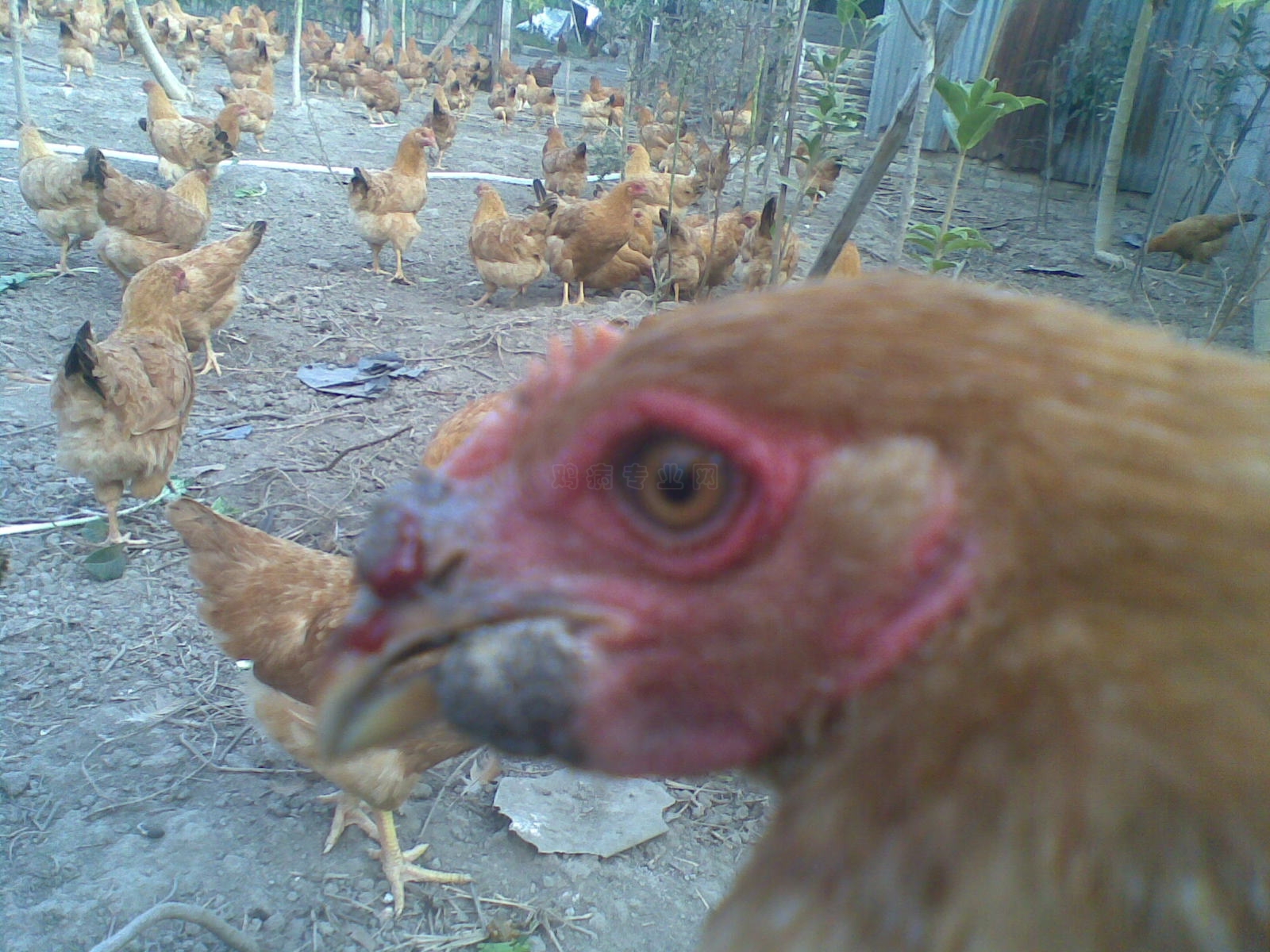 20101122.jpg