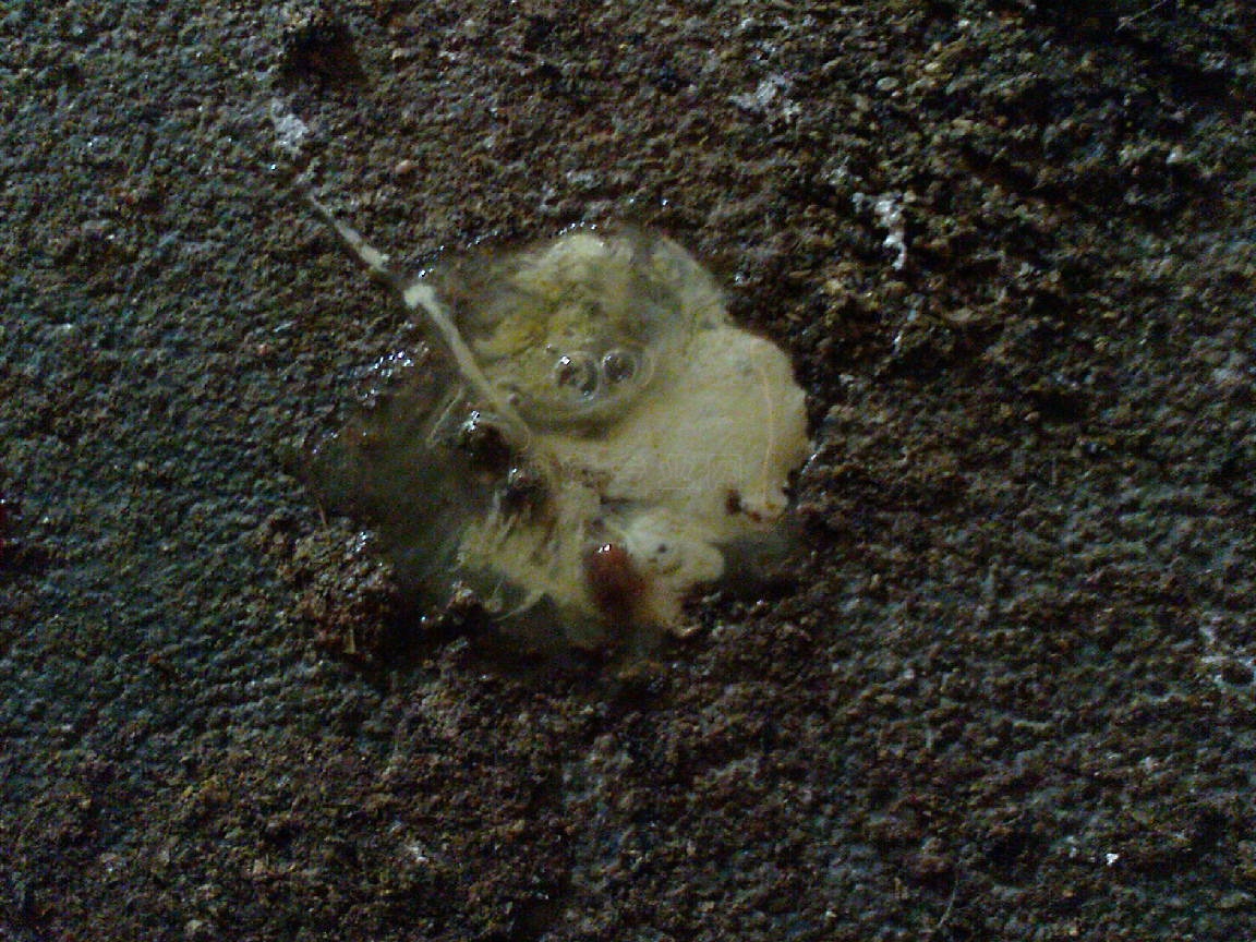 DSC01059.JPG