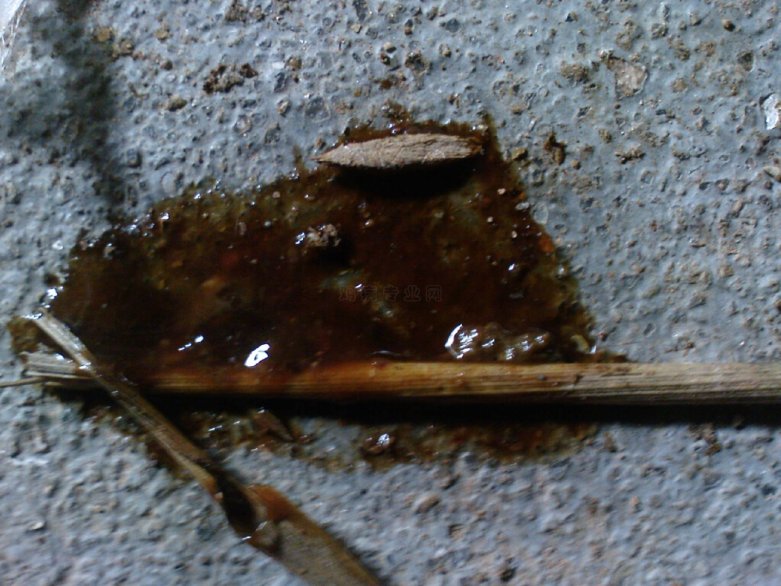 DSC01025.JPG