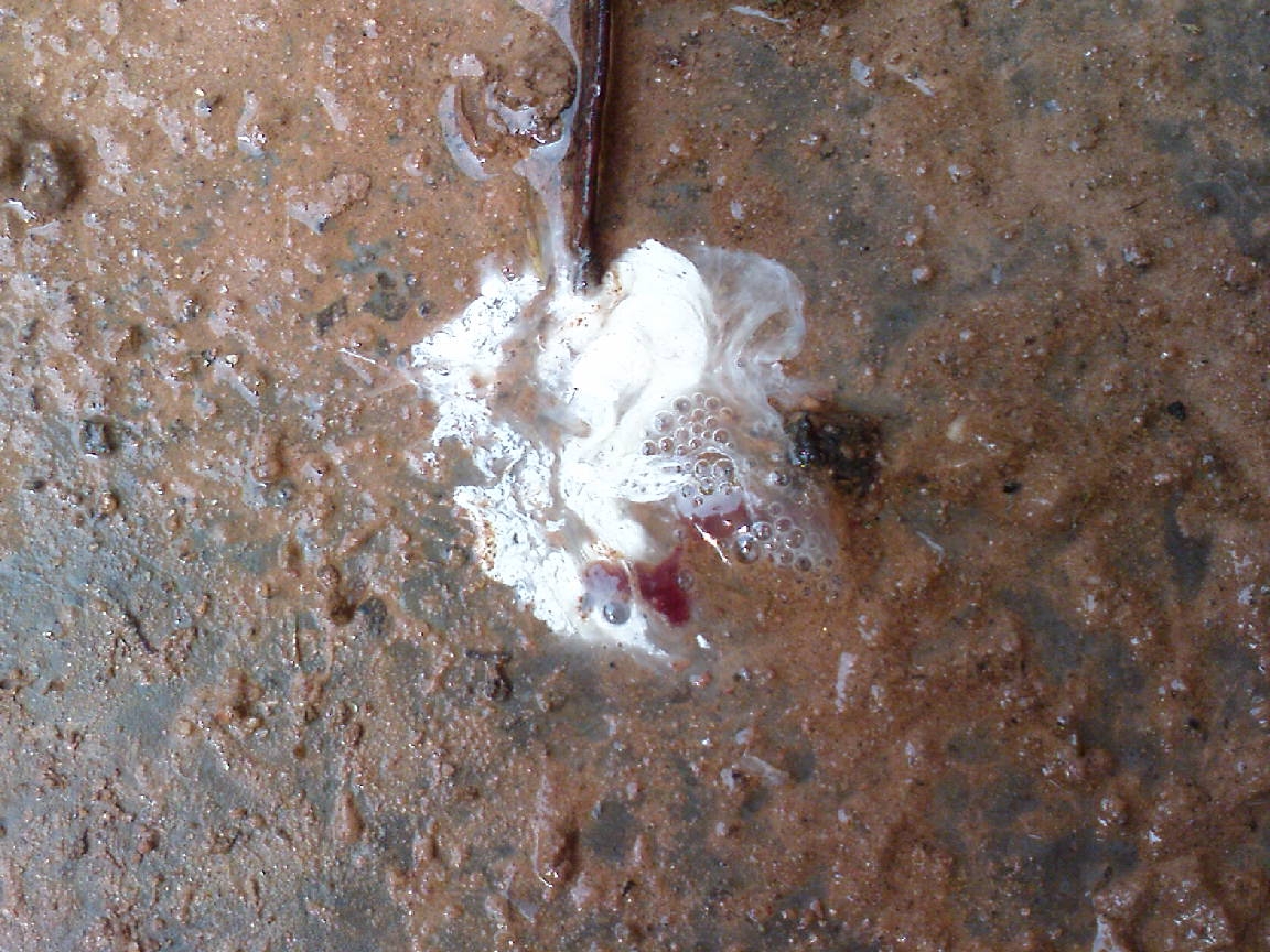 DSC01061.JPG