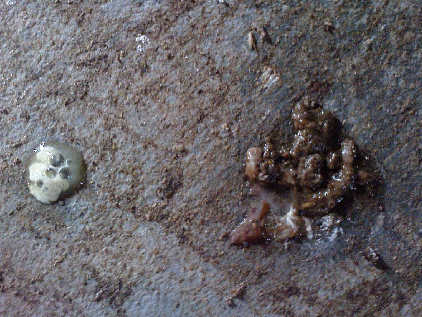 DSC01045.JPG