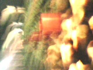 IMG0071A.jpg