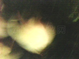 IMG0075A.jpg