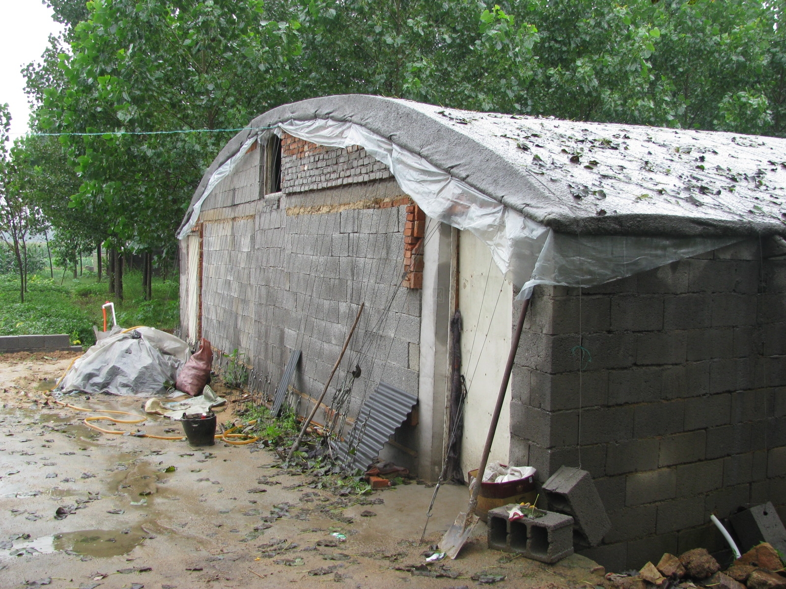 Ƭ 081.jpg