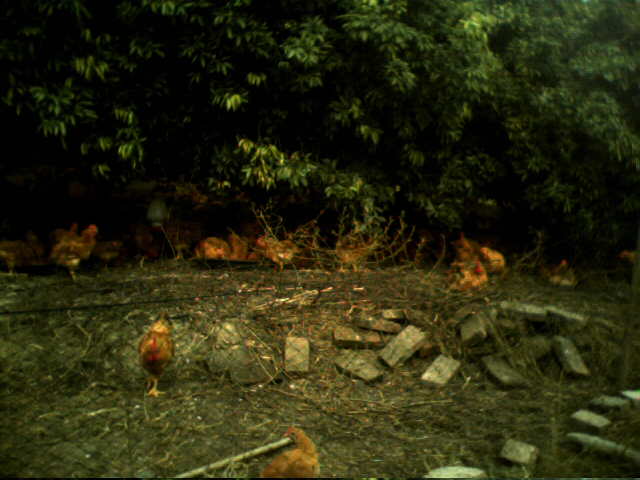 IMG2155A.jpg