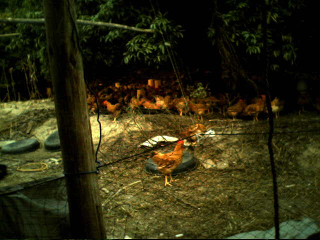 IMG2153A.jpg