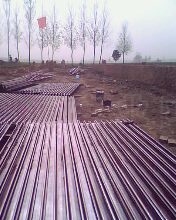 IMG0728A.jpg