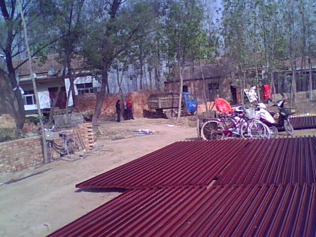 IMG0737A.jpg