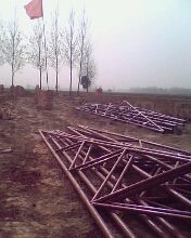 IMG0725A.jpg