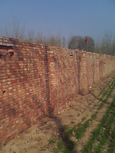 IMG0769A.jpg
