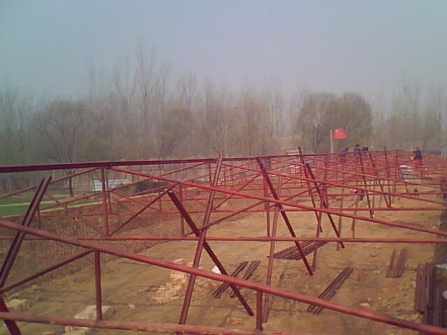 IMG0803A.jpg