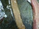 SP_A0096.jpg