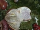 SP_A0085.jpg