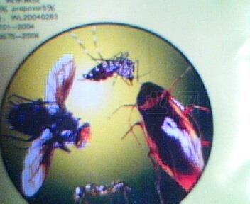 IMG0063A.jpg