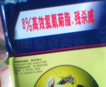IMG0065A.jpg