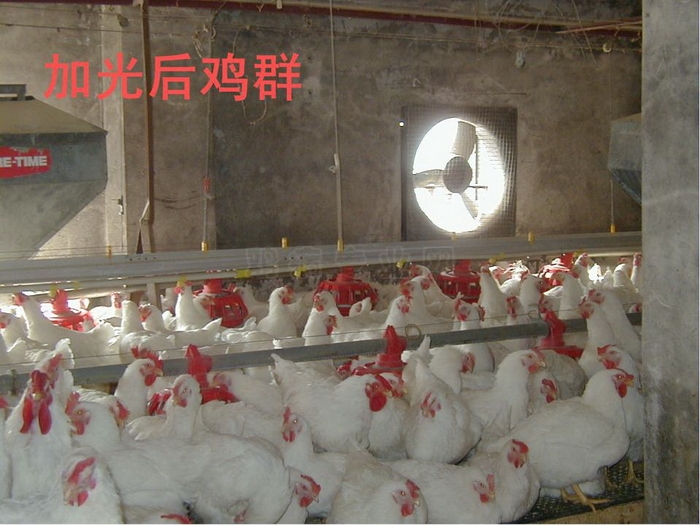 ᡢڹ73.JPG