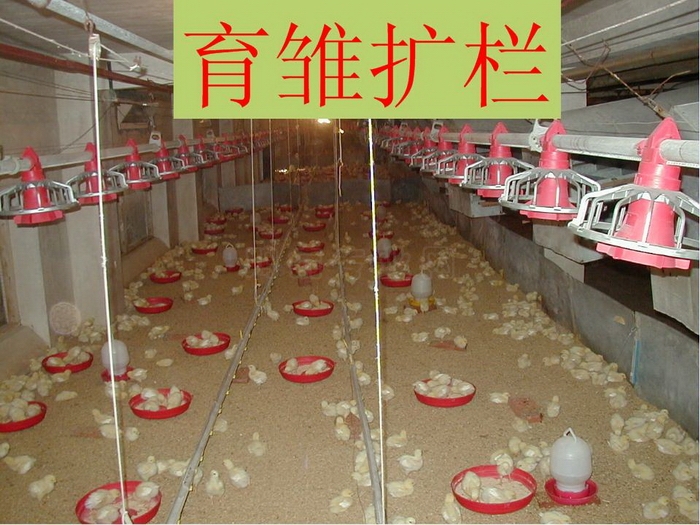 ᡢڹ53.JPG