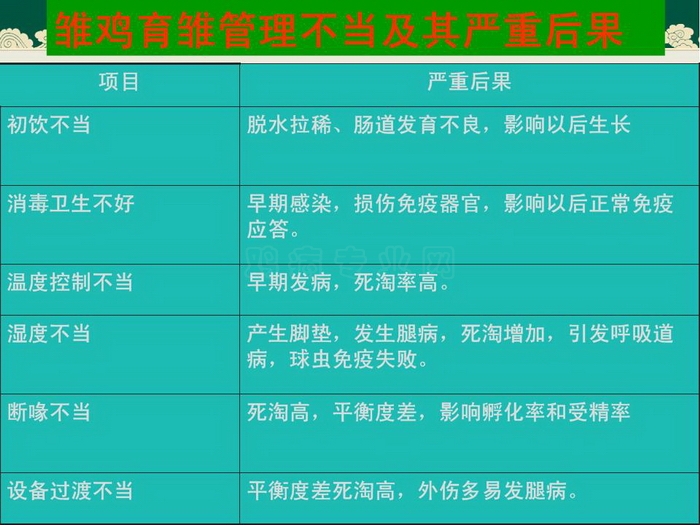 ᡢڹ56.JPG