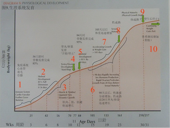 ᡢڹ28.JPG