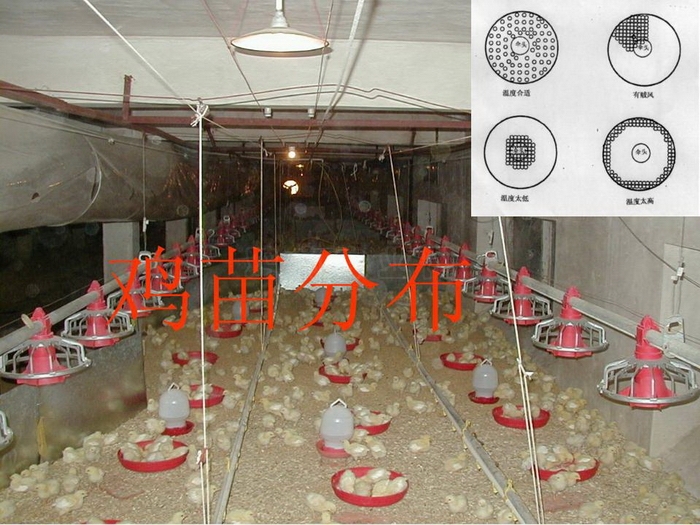 ᡢڹ37.JPG