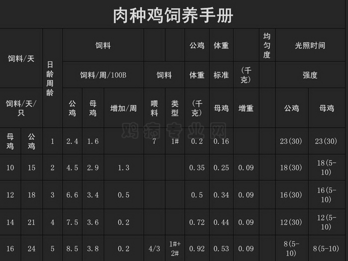 ᡢڹ41.JPG