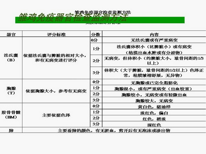ᡢڹ57.JPG