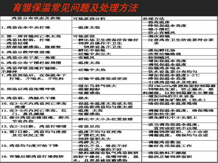 ᡢڹ40.JPG