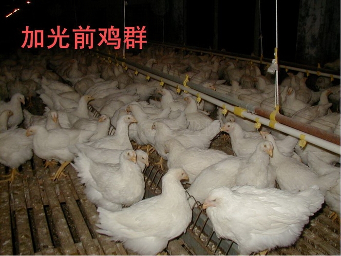 ᡢڹ72.JPG