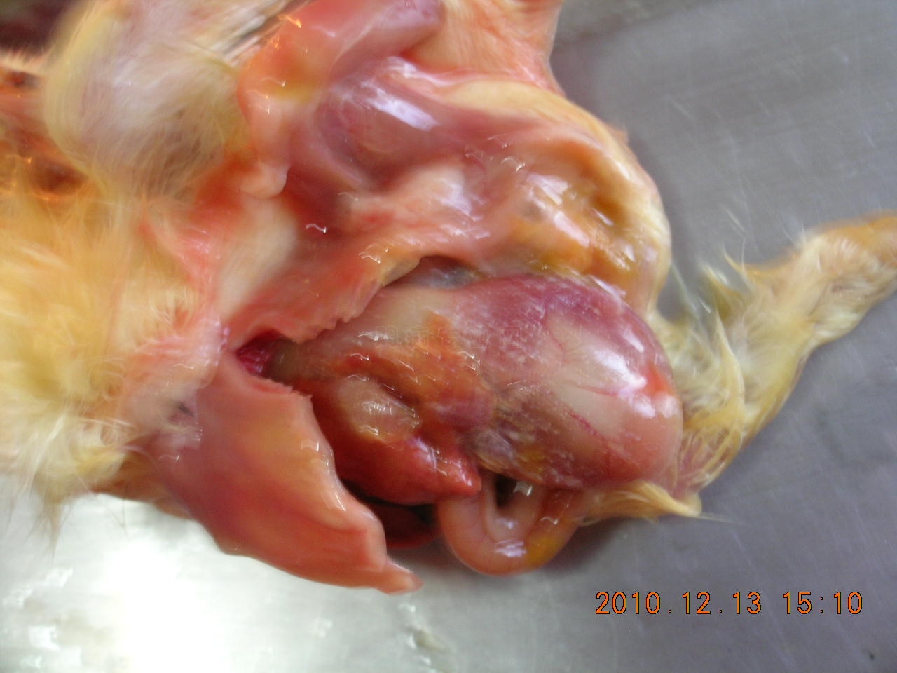 DSCN8390.JPG