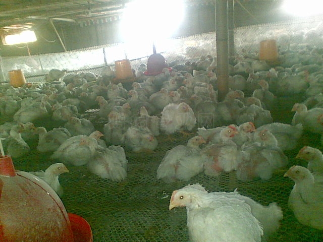 20110107(008).jpg